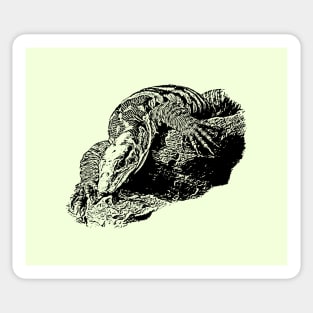 Varanus Sticker